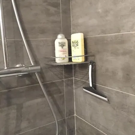 Des Fleurs Appartement *